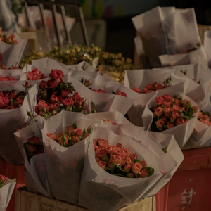 唐三的坤坤放在宁荣荣哪里
