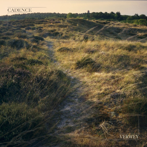 唐三的坤坤放在宁荣荣哪里
